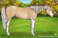 Horse Color:Silver Amber Champagne Sabino