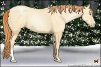 Horse Color:Amber Champagne Pearl Dun Sabino