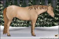 Horse Color:Chestnut Pearl Rabicano