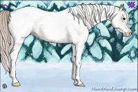 Horse Color:White Spotted Silver Black Tobiano 
