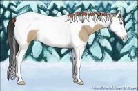 Horse Color:Buckskin Roan Dun Splash Tobiano 