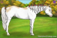 Horse Color:Silver Amber Champagne Dun Splash Frame Rabicano