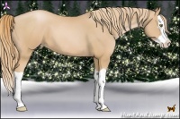 Horse Color:Chestnut Pearl Splash