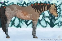 Horse Color:Bay Ice 