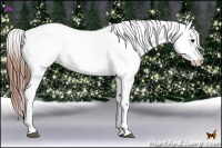 Horse Color:White Spotted Bay Frame Appaloosa