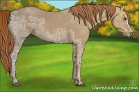 Horse Color:Chestnut Ice 