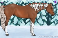 Horse Color:Silver Bay Tobiano