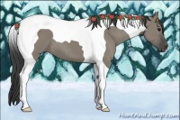 Horse Color:Smoky Grullo Tobiano 