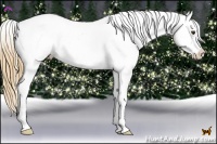 Horse Color:Grullo Pearl Splash Appaloosa Rabicano