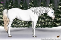 Horse Color:White Spotted Brown Pearl Splash Varnish 