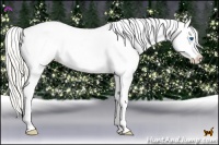 Horse Color:Silver Classic Champagne Pearl Dun Splash Appaloosa 