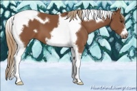 Horse Color:Chestnut Tobiano Frame