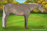 Horse Color:Silver Smoky Black 