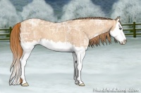 Horse Color:Gold Champagne Ice Sabino Splash 
