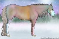 Horse Color:Silver Grullo Sabino 