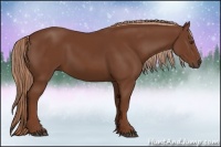 Horse Color:Chestnut Rabicano 