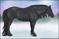 Horse Color:Black Rabicano