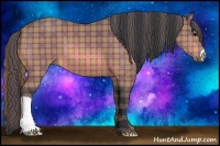 Horse Color:Plaid Bay