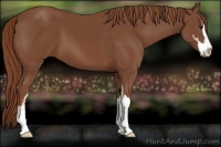 Horse Color:Chestnut Sabino