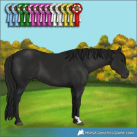 Horse Color:Gray Smoky Black 