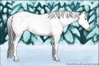 Horse Color:Smoky Grullo Splash Tobiano Rabicano 
