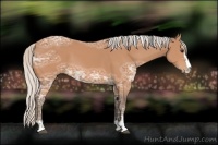Horse Color:Silver Bay Ice Sabino