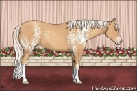 Horse Color:White Spotted Silver Amber Champagne 