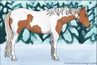 Horse Color:Silver Bay Tobiano