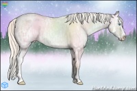 Horse Color:Silver Classic Champagne Ice Pearl Dun Sabino Splash 