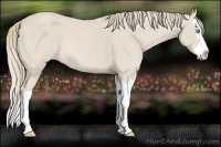 Horse Color:Smoky Creme Roan Splash 