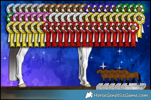 Horse Color:Brown Splash Rabicano