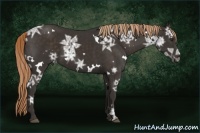 Horse Color:White Spotted Liver Chestnut Ice Sabino 