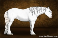 Horse Color:Perlino Varnish 