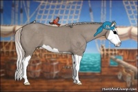 Horse Color:Silver Grullo Splash