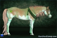 Horse Color:Chestnut Splash  Brindle