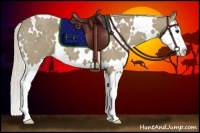 Horse Color:White Spotted Silver Smoky Grullo Splash 