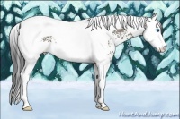 Horse Color:White Spotted Grullo Splash Tobiano