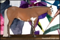 Horse Color:Silver Bay Sabino Splash Frame 