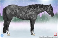 Horse Color:Blue Ice Roan 