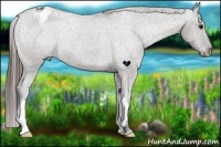 Horse Color:Grullo Varnish Rabicano 