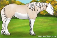 Horse Color:Silver Buckskin Pearl Splash 