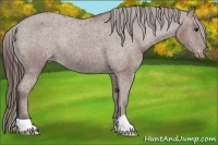 Horse Color:Bay Varnish Rabicano 