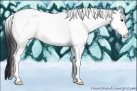 Horse Color:White Spotted Smoky Grullo Roan Tobiano 