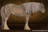 Horse Color:Chocolate Palomino 