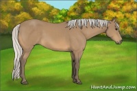 Horse Color:Silver Buckskin 