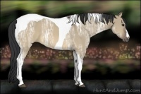 Horse Color:Brown Ice Dun Tobiano