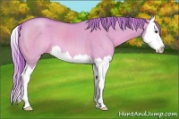 Horse Color:Watercolor Red Dun Splash