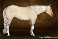 Horse Color:White Spotted Silver Bay Roan Dun 