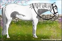 Horse Color:Smoky Blue Roan Splash Tobiano 