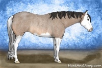 Horse Color:Buckskin Roan Splash Rabicano 